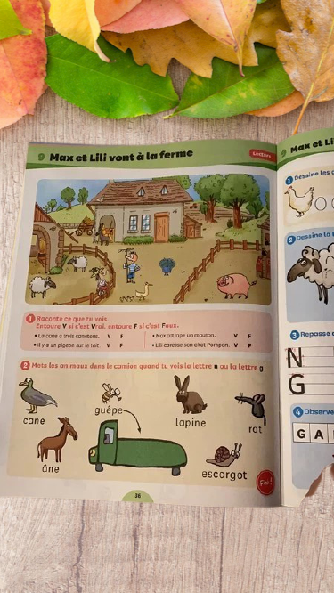 Cahier de vacances Max et Lili 5-6 ans GS/CP Neuf Apprends en t'amusant !