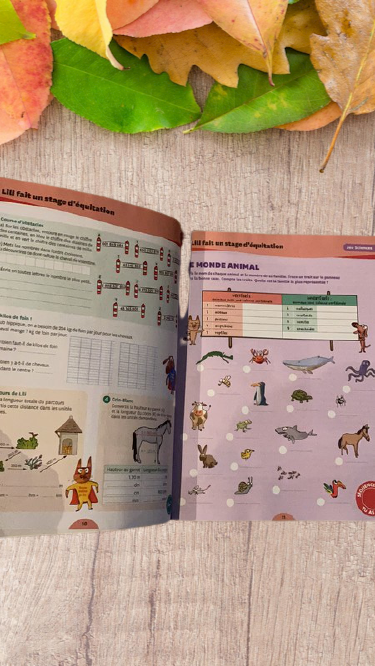 Cahier de vacances Max et Lili 10 -11 ans CM2 6 eme Neuf Apprends en t'amusant !