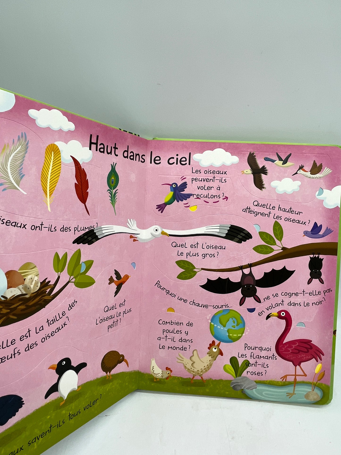 Livre Mon grand livre de questions réponses avec rabats Thème Les animaux Neuf
