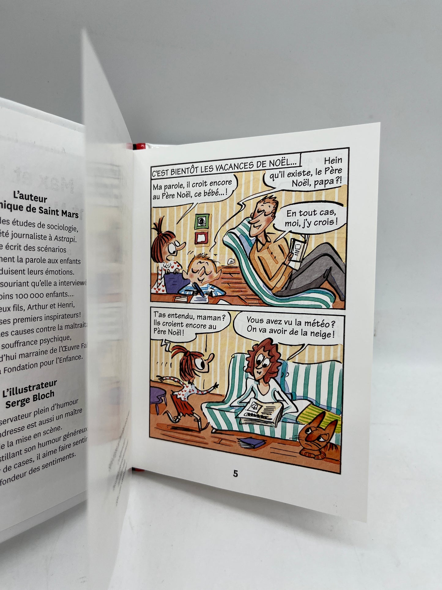 livre Ainsi va la vie Max et lili Fetent Noël en famille tome 82 Neuf Bd