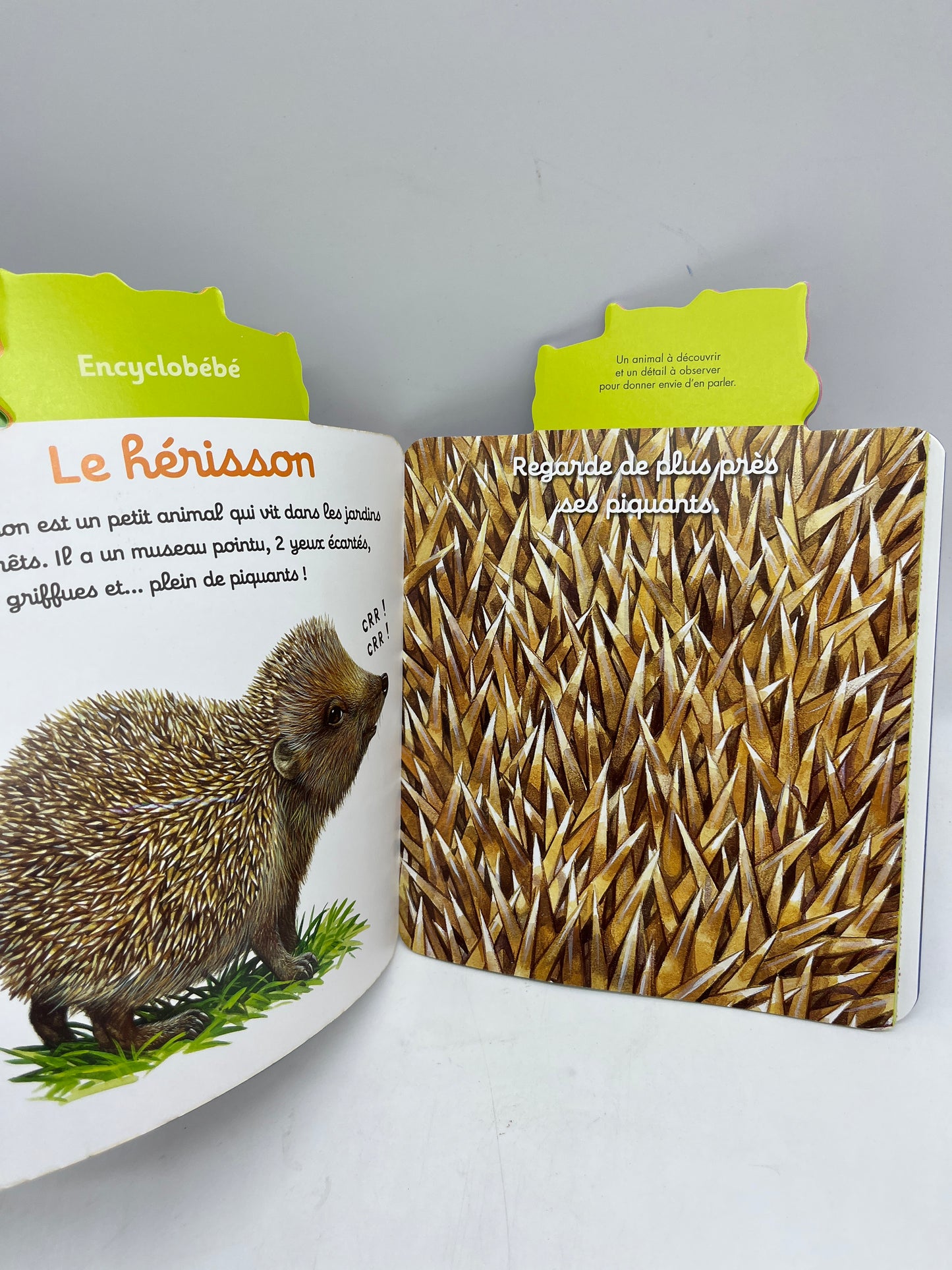 Livre d’activité Magazine Picoti Volent les petites feuilles novembre 2022 Neuf !