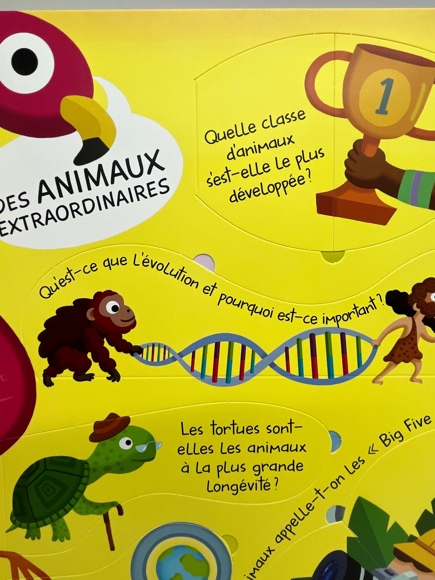 Livre Mon grand livre de questions réponses avec rabats Thème les animaux extraordinaires Neuf