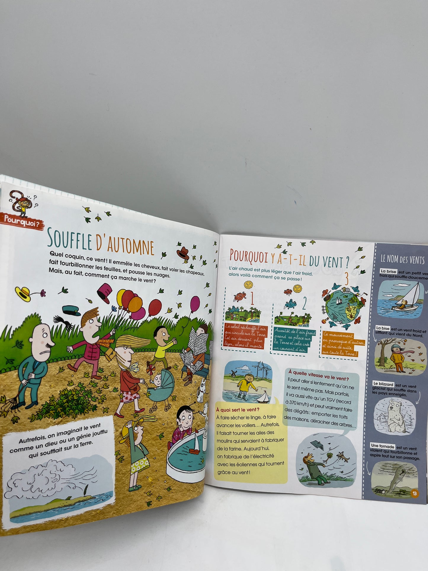 livre d’activité Magazine Pirouette avec son tricératops à monter Neuf !