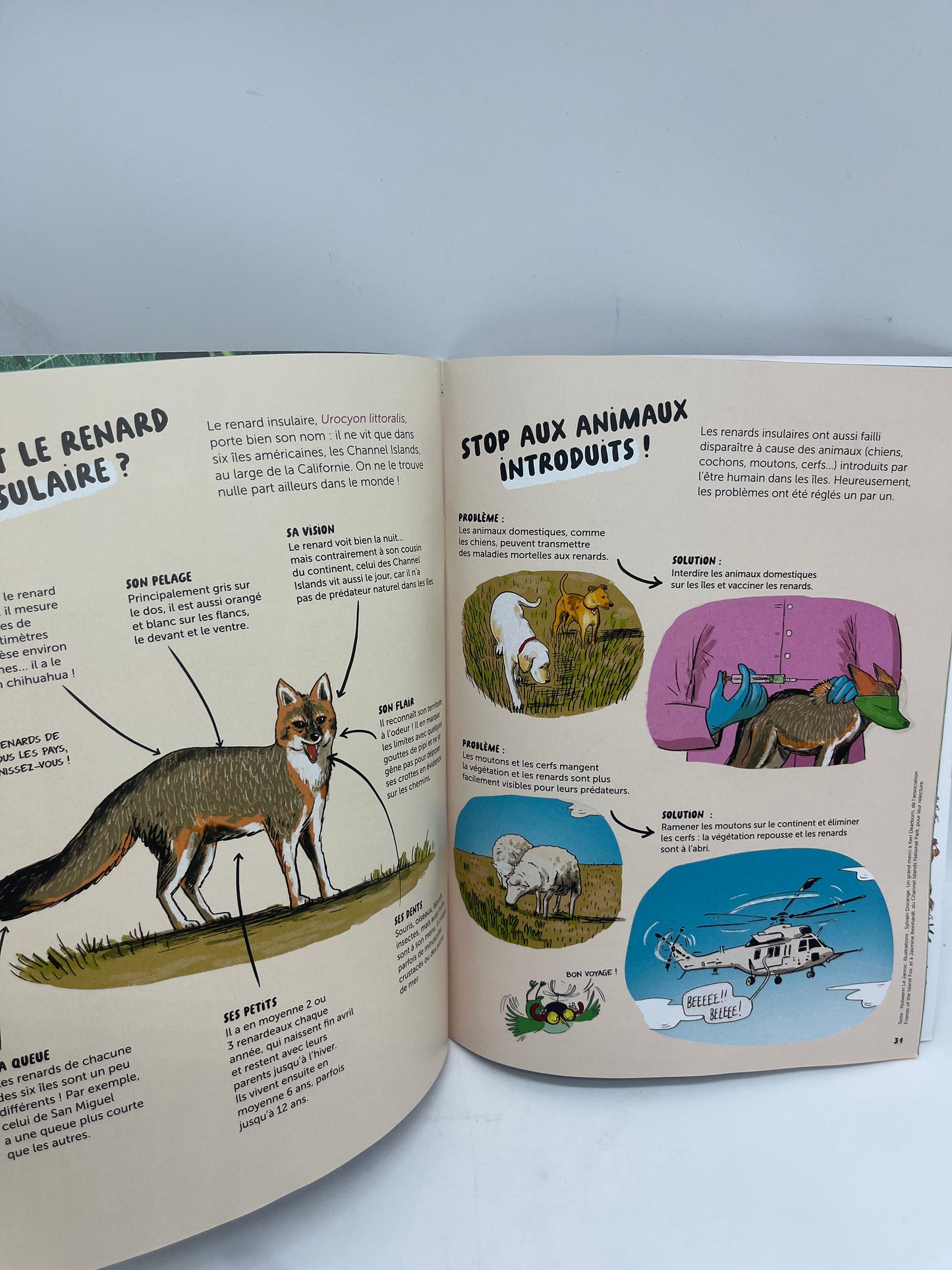 Livre d’activité Magazine WAPITI Revue animalière 7/12 ansneuf