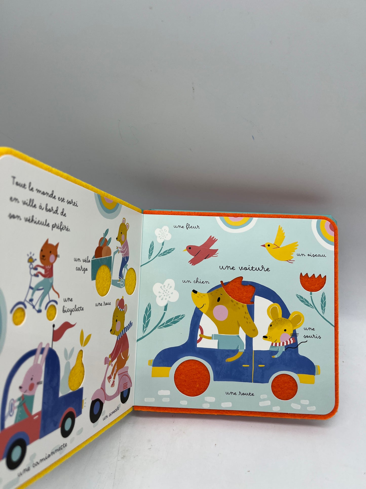 Livre Mon imagier à toucher Thème les mots Neuf