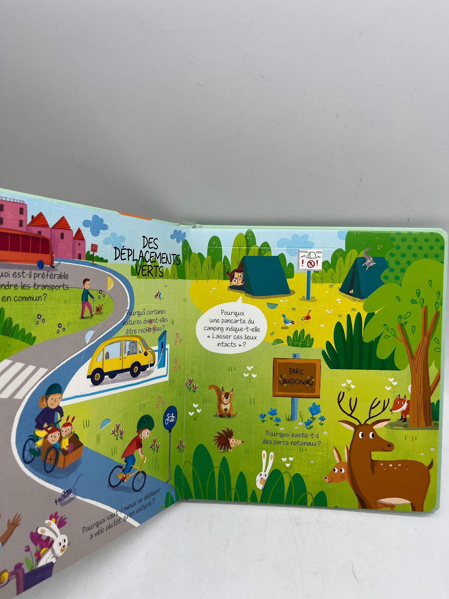 Livre Pourquoi ? Thème Plus ecolo livre question réponses avec plus de 30 rabats Neuf