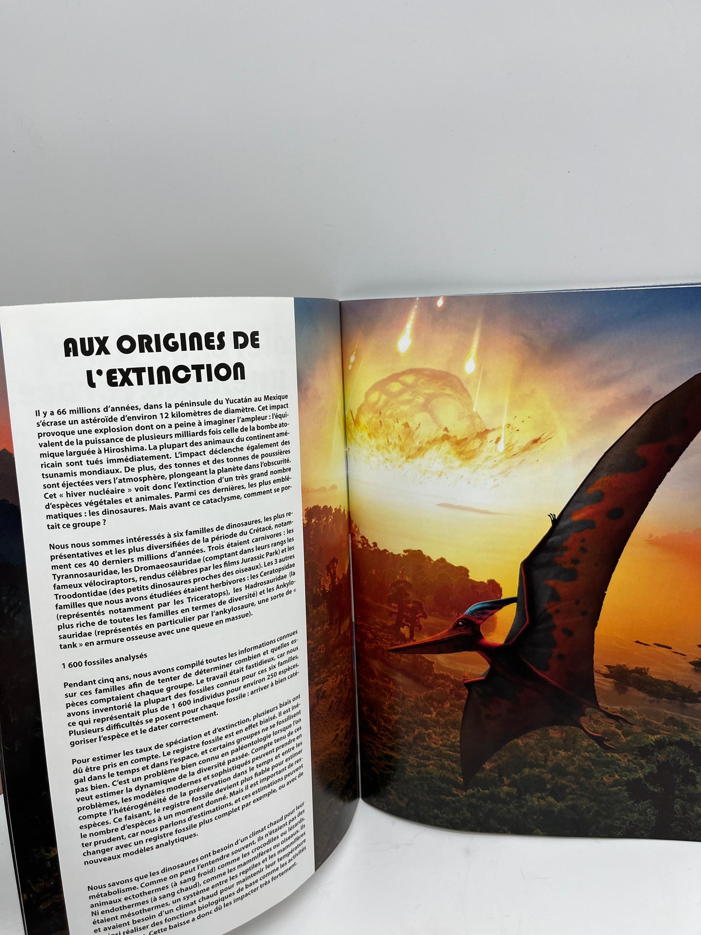 Livre d’activité Magazine Planète Dino Special Dinosaures avec poster Neuf