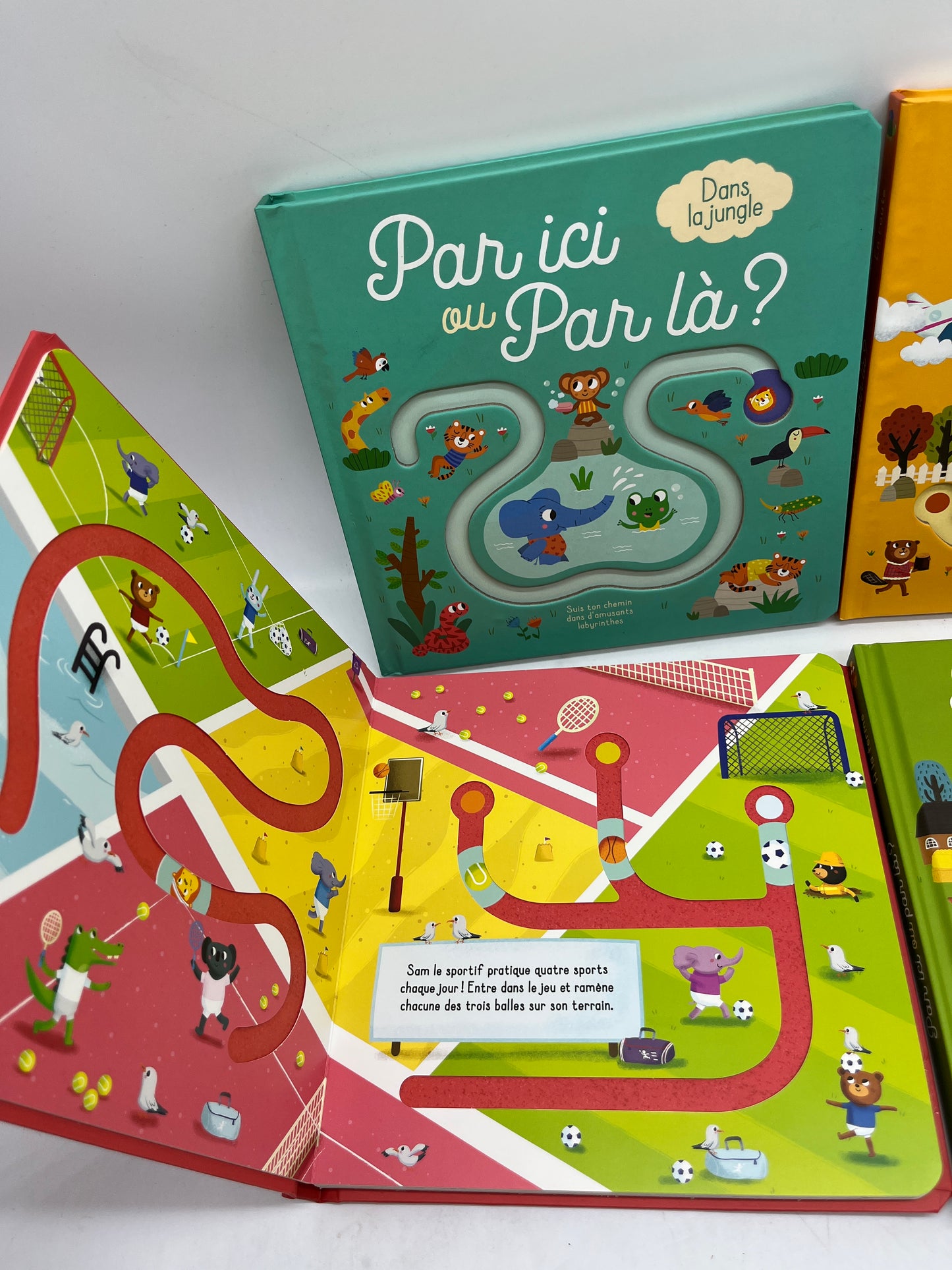 Lot de 4 livres Ludique Par ici ou par là? Avec son curseur Neuf