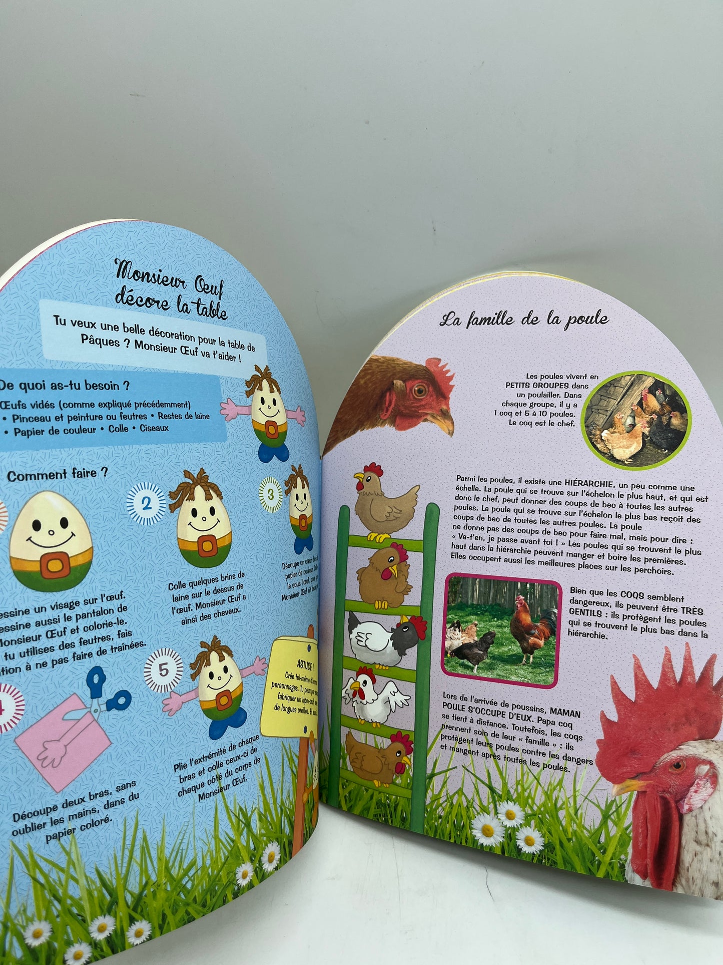 Livre stickers et d’activité Le grand livre des oeufs spécial Pâques 🐣 Neuf