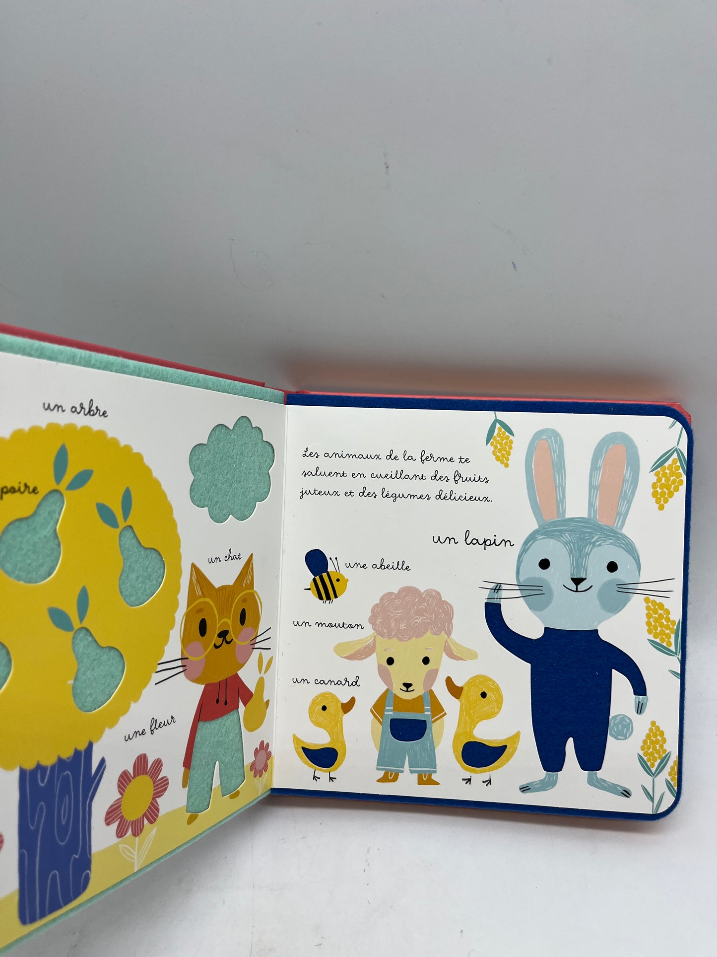 Livre Mon imagier à toucher Thème les animaux Neuf
