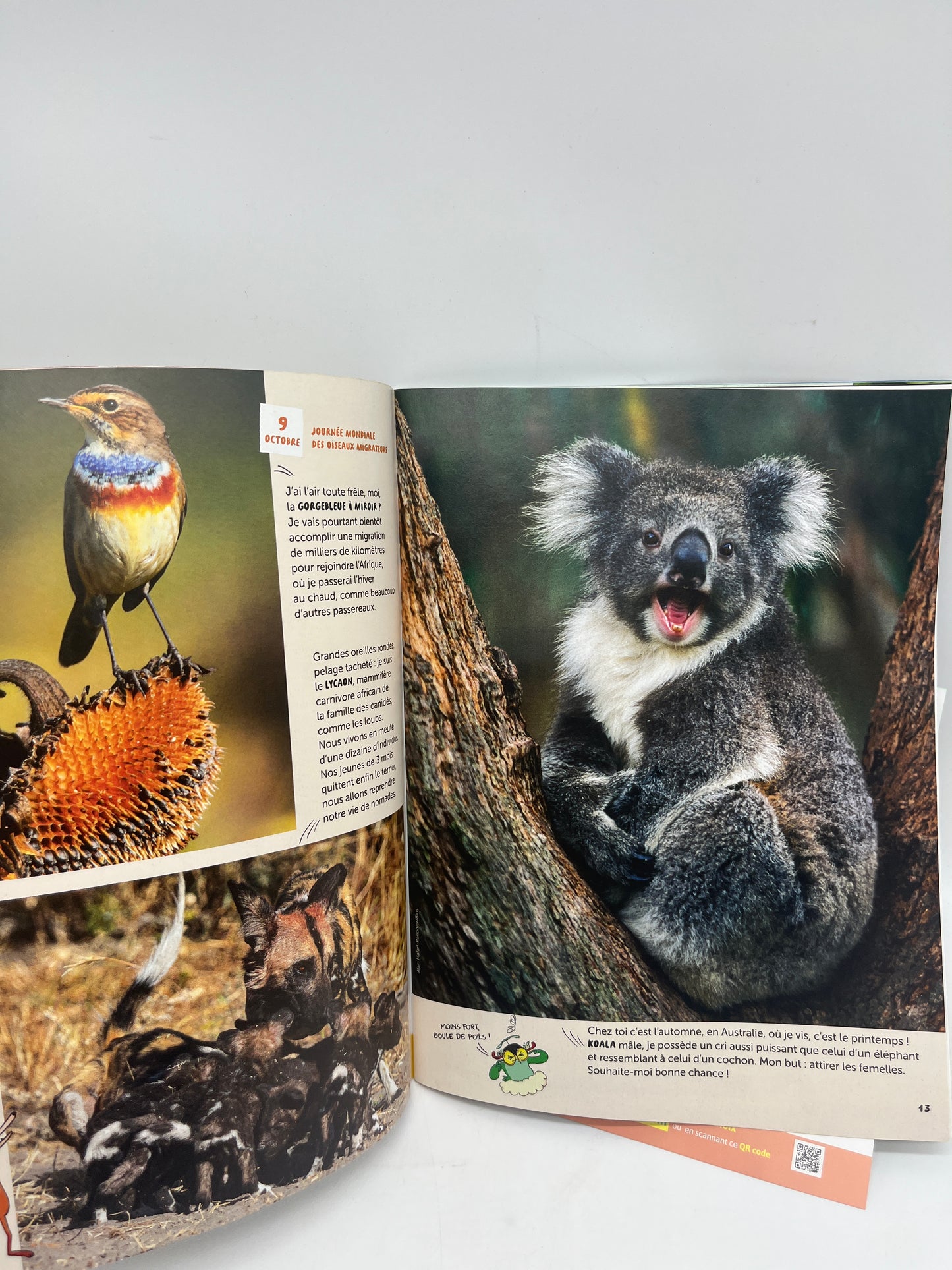 Livre d’activité Magazine WAPITI Revue animalière 7/12 ansneuf