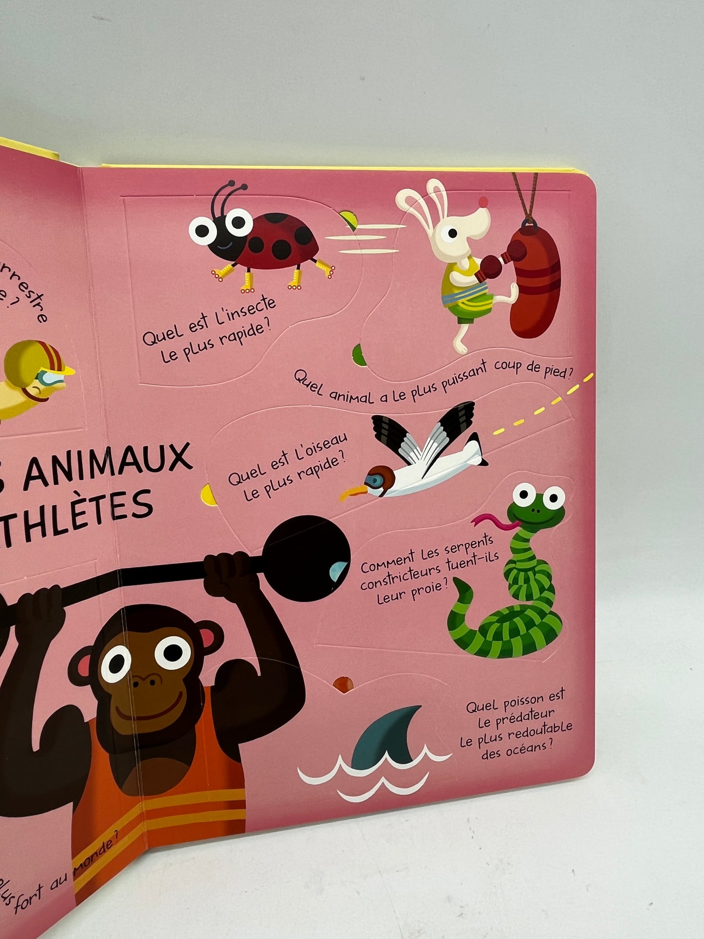 Livre Mon grand livre de questions réponses avec rabats Thème les animaux extraordinaires Neuf