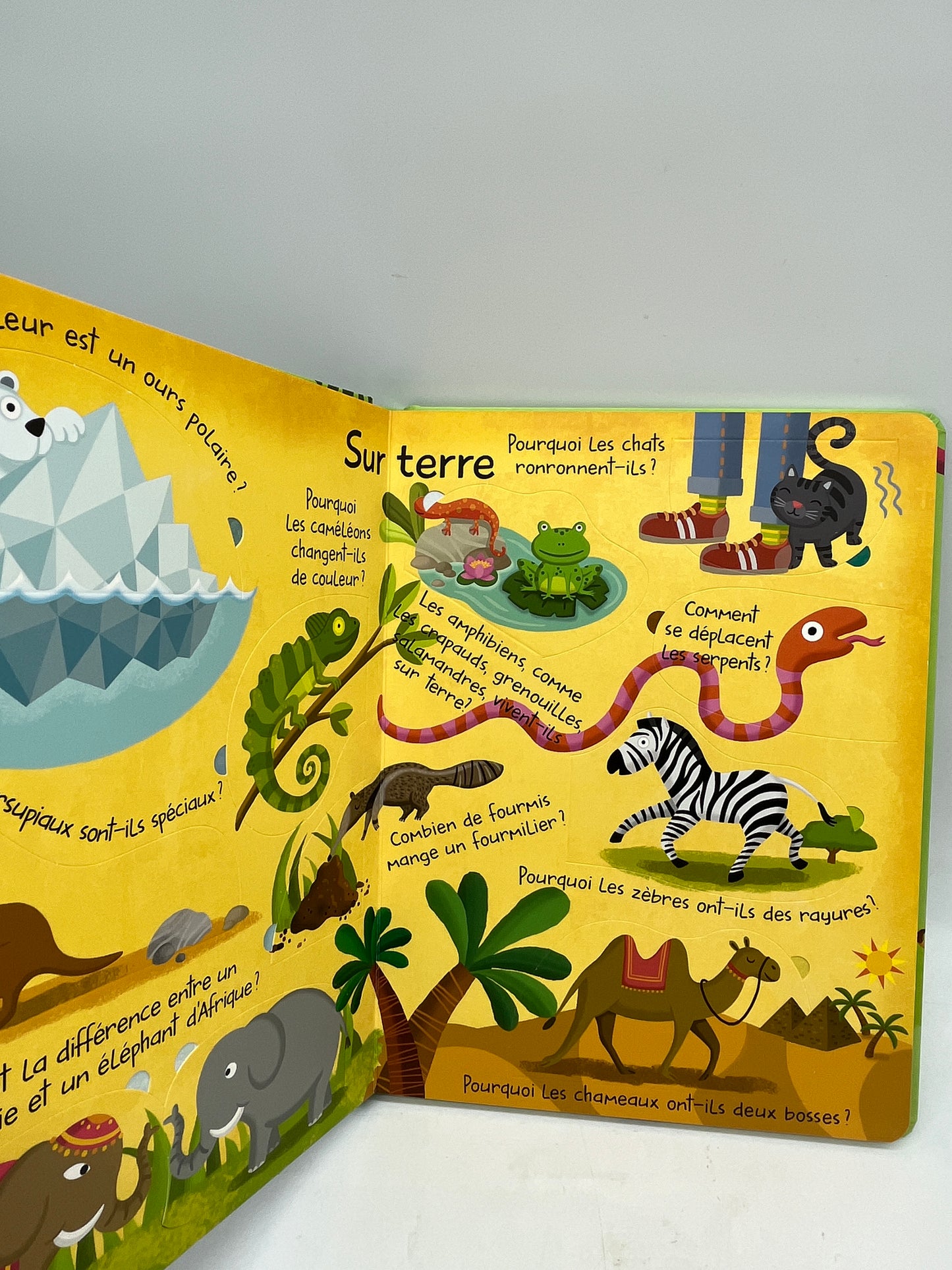 Livre Mon grand livre de questions réponses avec rabats Thème Les animaux Neuf