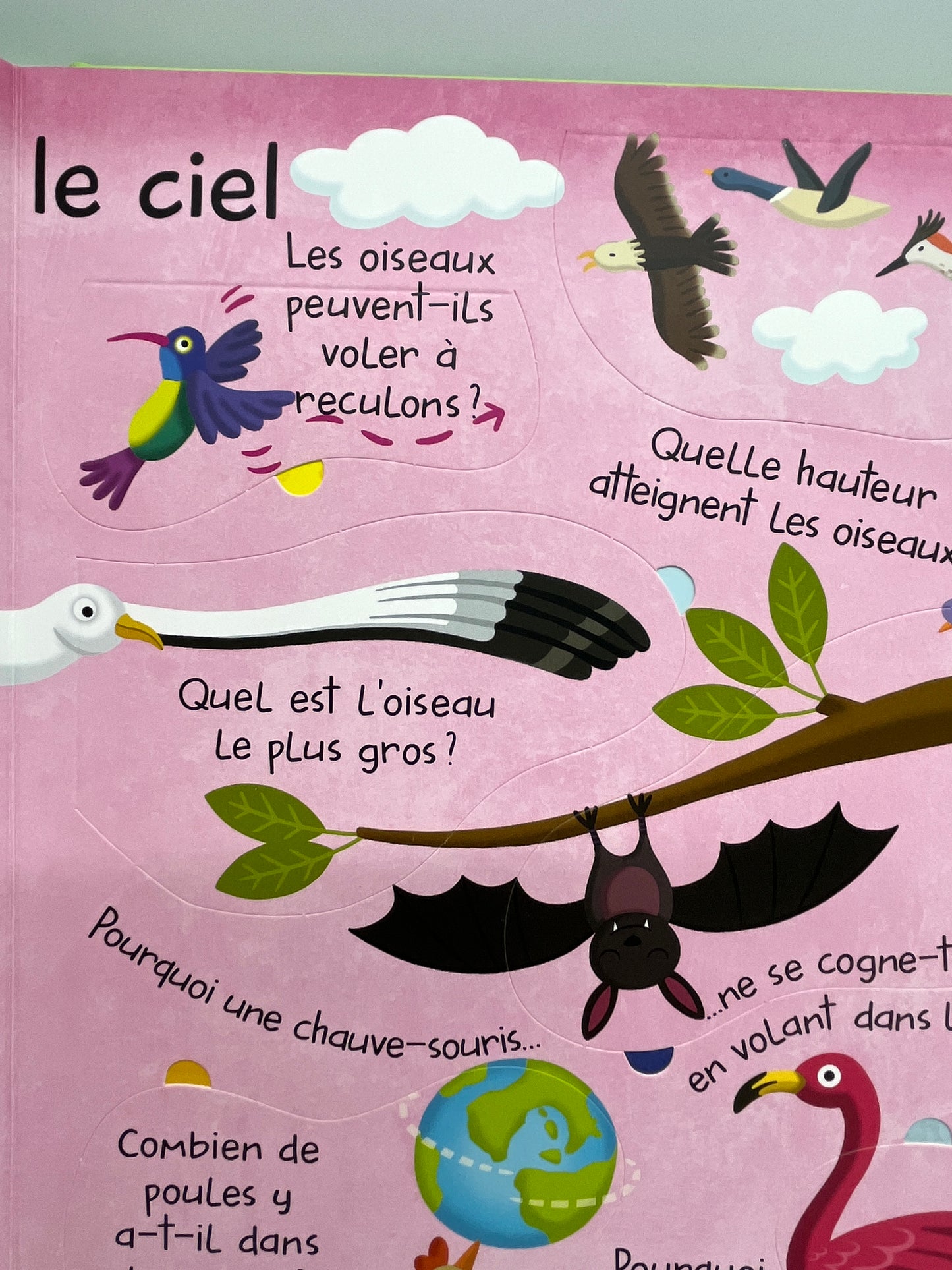 Livre Mon grand livre de questions réponses avec rabats Thème Les animaux Neuf