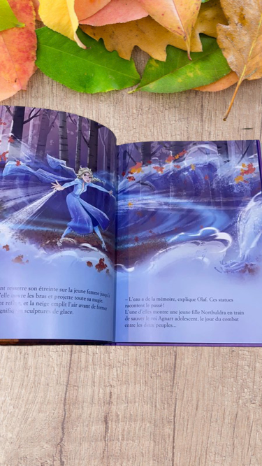 Livre la Reines des neiges 2 l'histoire du film Disney