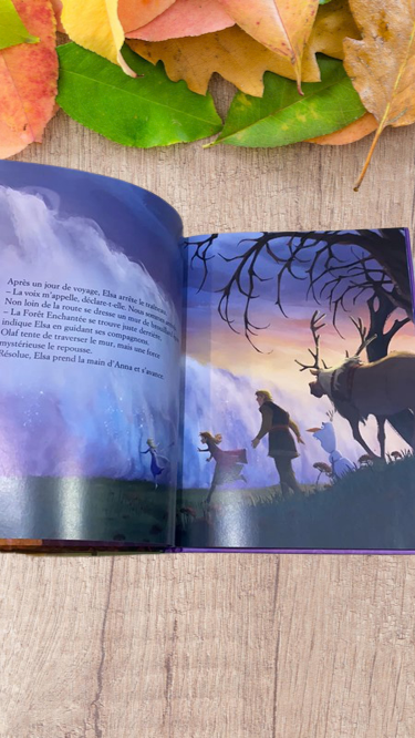 Livre la Reines des neiges 2 l'histoire du film Disney