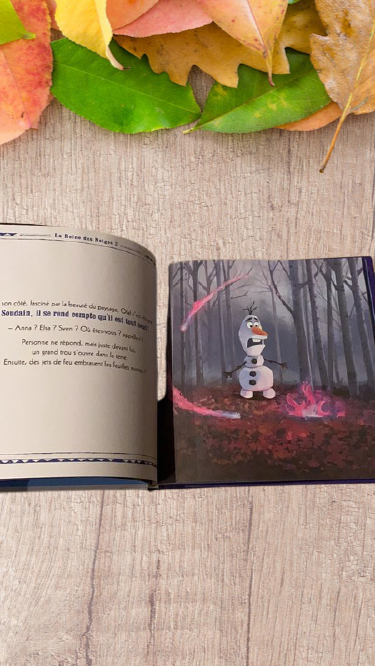 Livre Collection les grands classique Disney la Reines des neiges 2 Disney Neuf