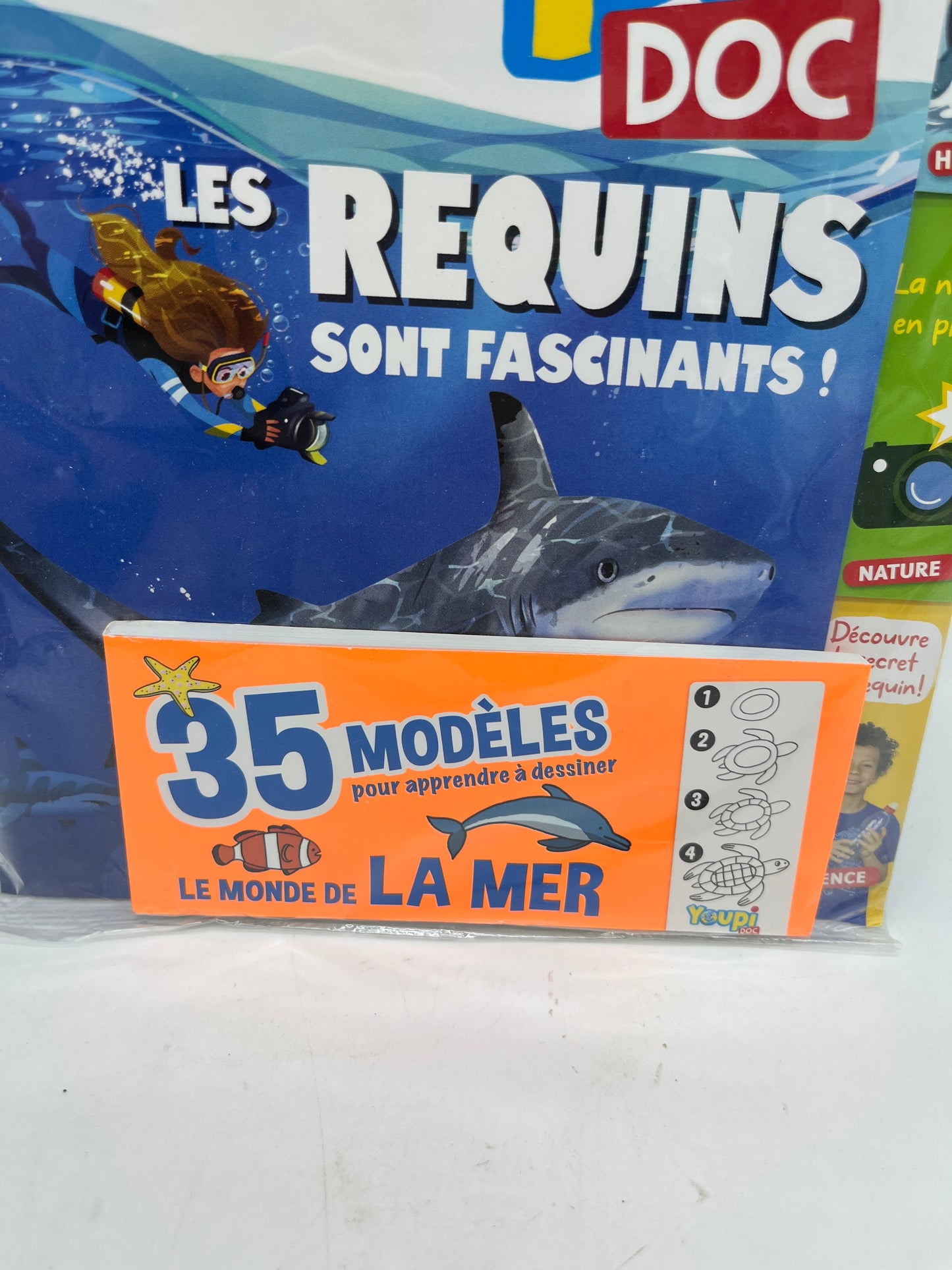 Livre d’activité Magazine Youpi ! J’ai compris thème Les requins avec son carnet pour apprendre à dessiner Neuf sous blister