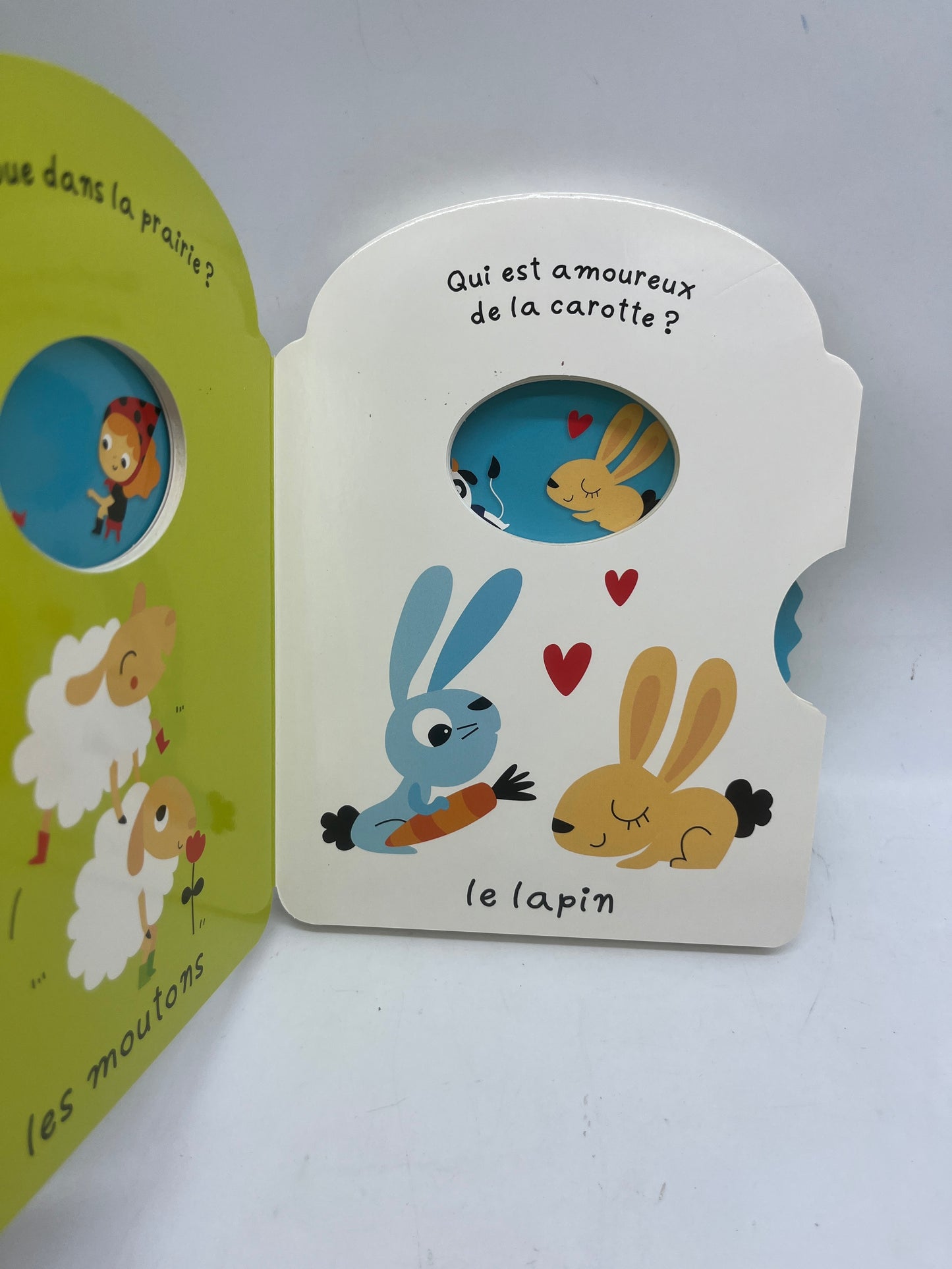 livre Tourne et joue mon premier livre animé ludique illustré thème la ferme Neuf Cartonné