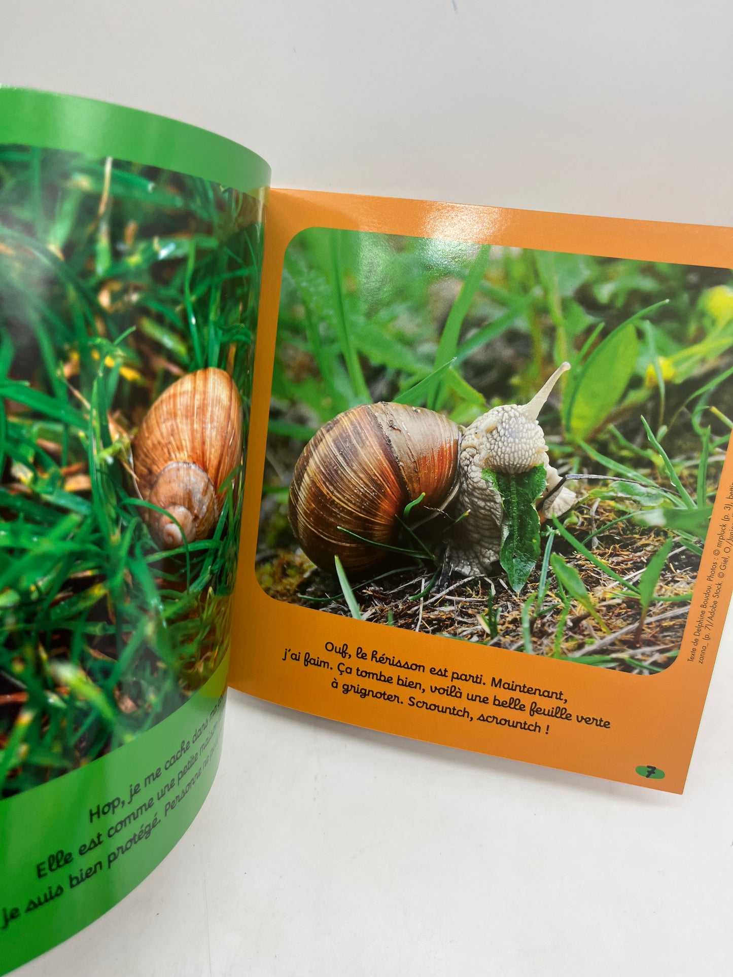 Magazine livre d’activité Kolala revue spécial animaux numéro 66 Toto l’escargot imagier  jeux activité !