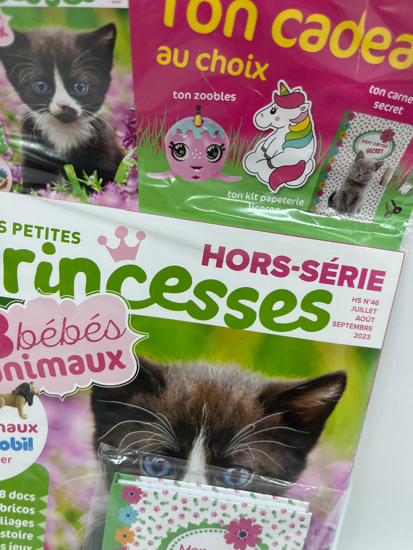 livre d’activité Magazine Les petites Princesses Edition Fleurus avec son carnet secret neuf !