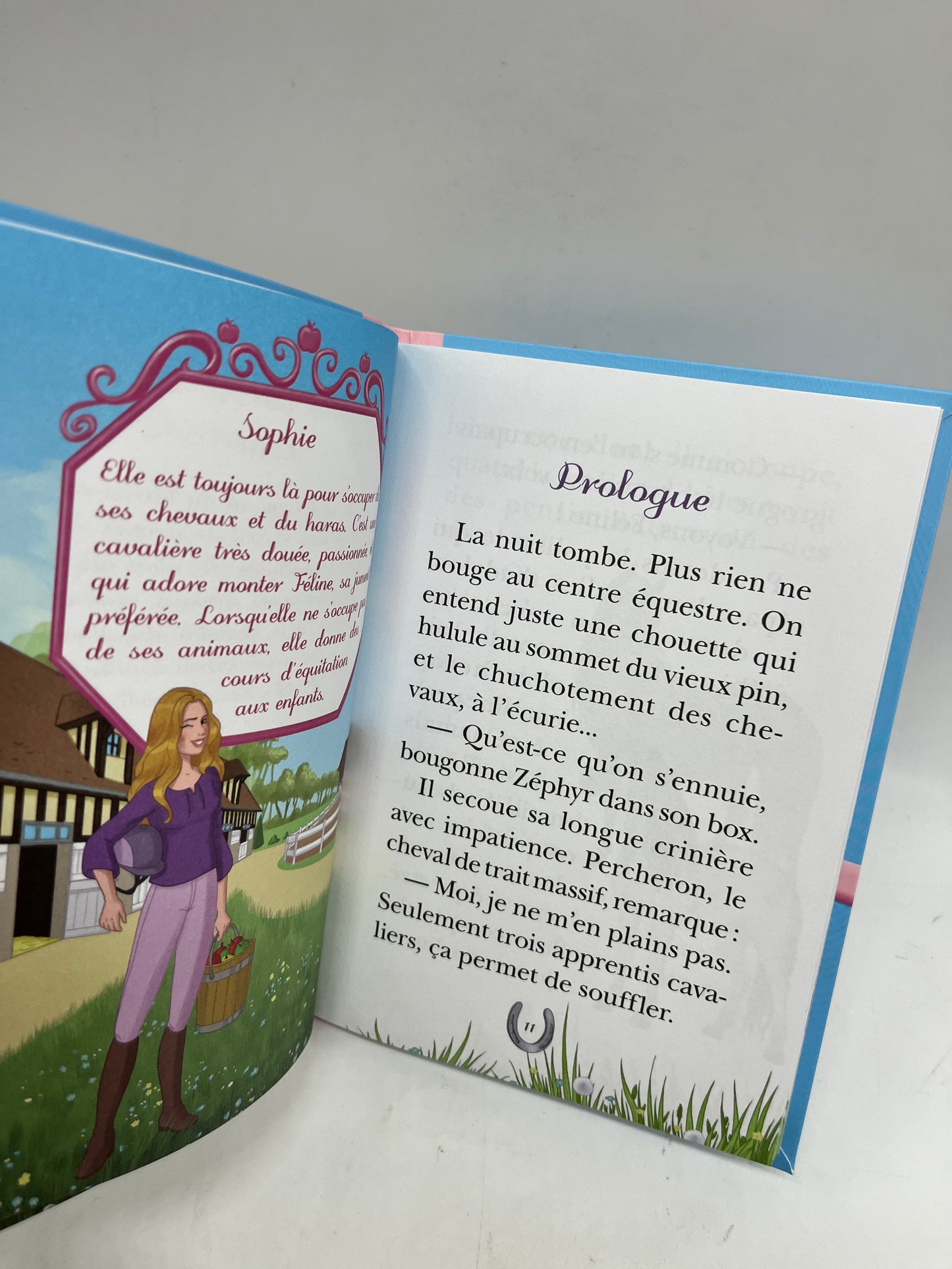 Livre histoire Ma bibliothèque rose Mes premières lectures  Mes amis les chevaux Un nouveau pensionnaire Neuf