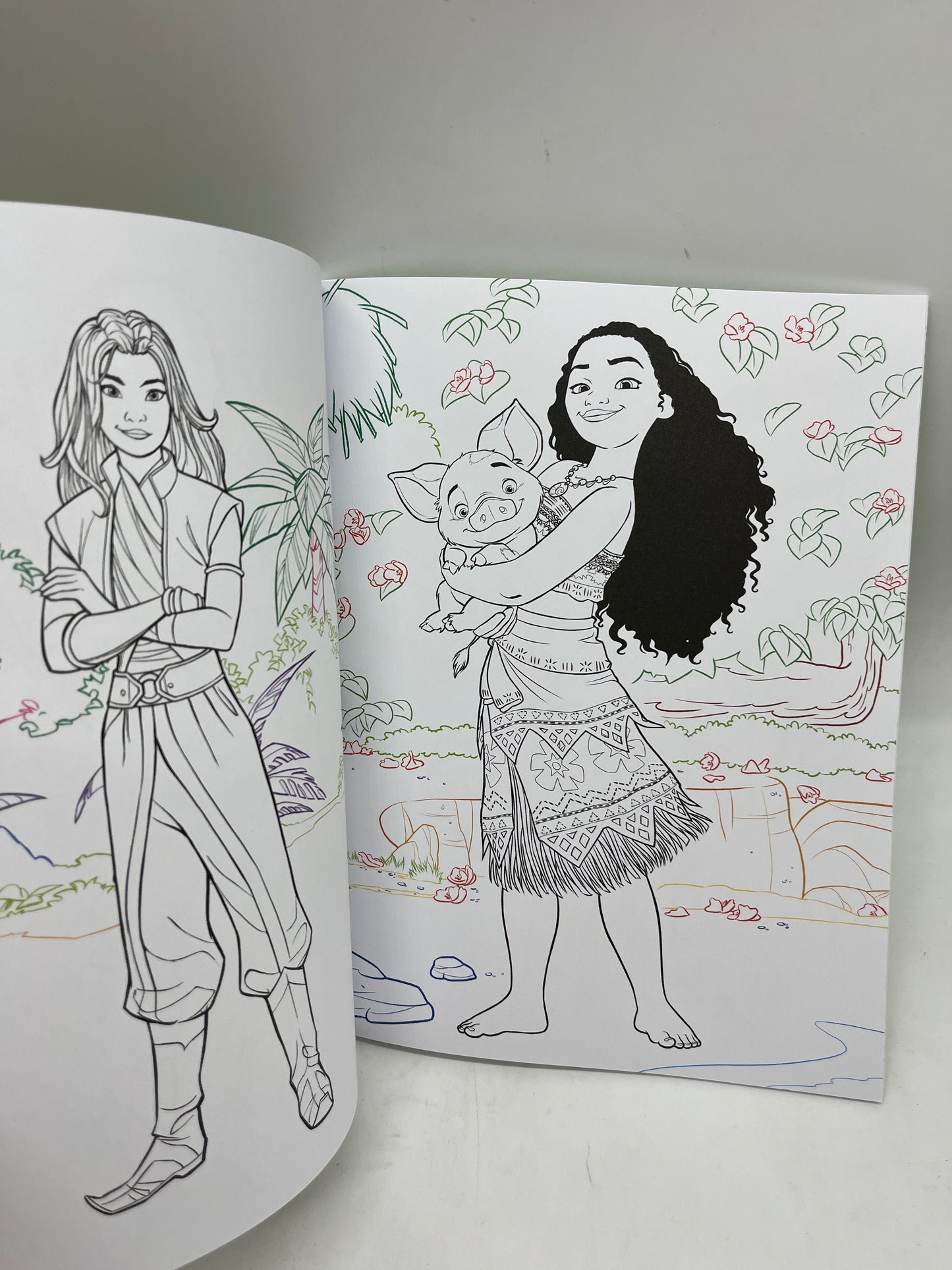 Magazine livre d’activité Disney Mes jolis coloriages thème La Nature activité Neuf