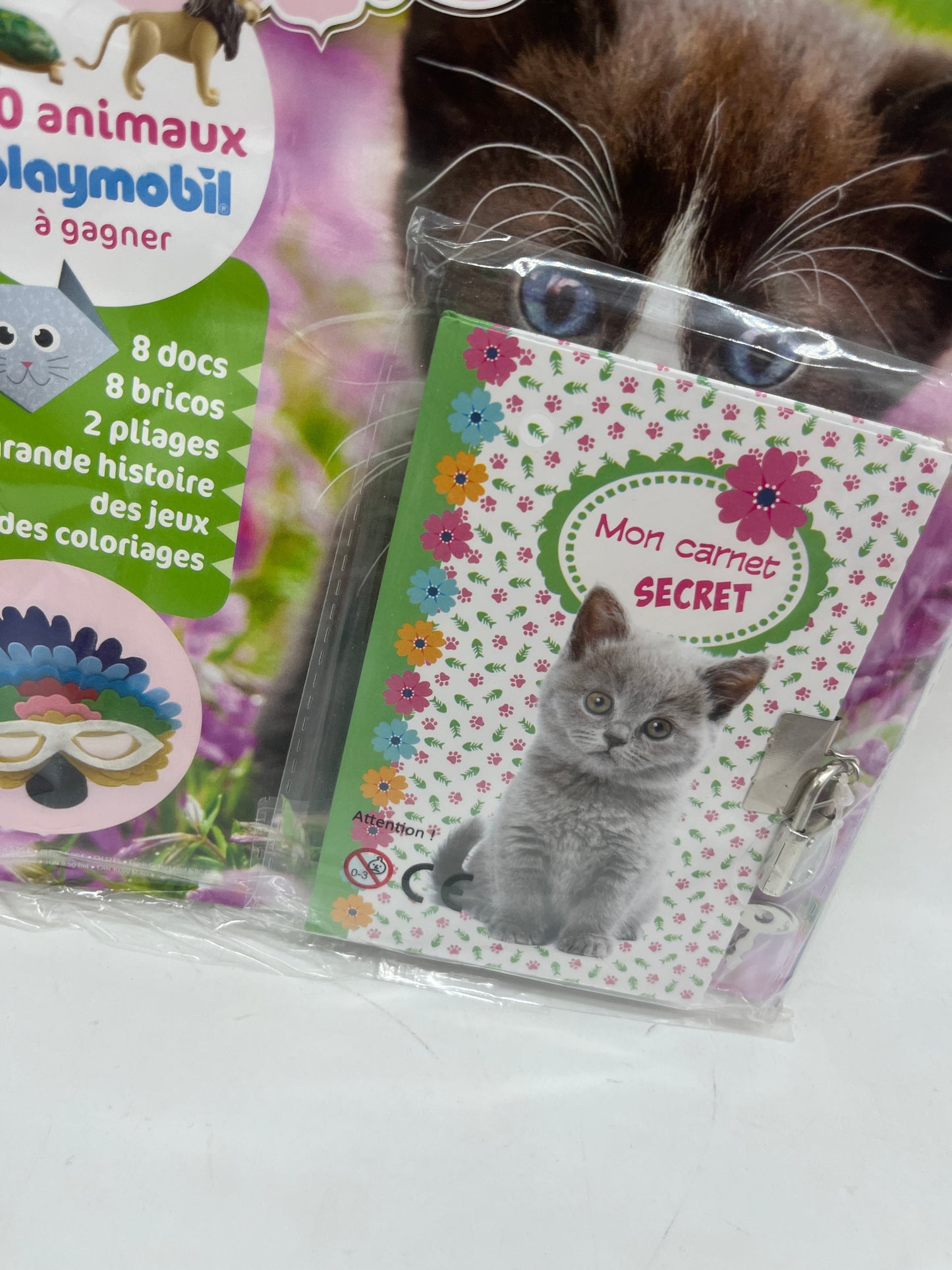 livre d’activité Magazine Les petites Princesses Edition Fleurus avec son carnet secret neuf !