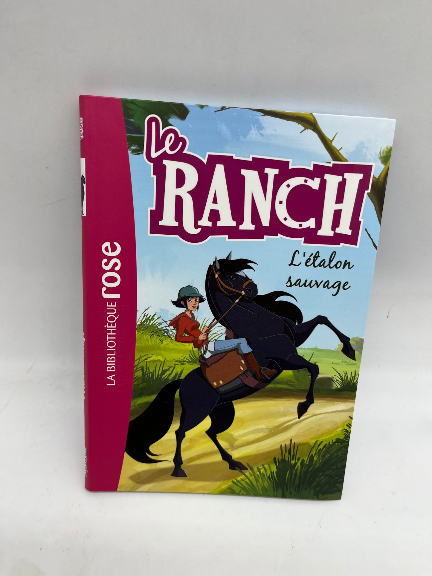 Livre histoire Ma bibliothèque rose Mes lectures Le Ranch L’etalon sauvage Neuf