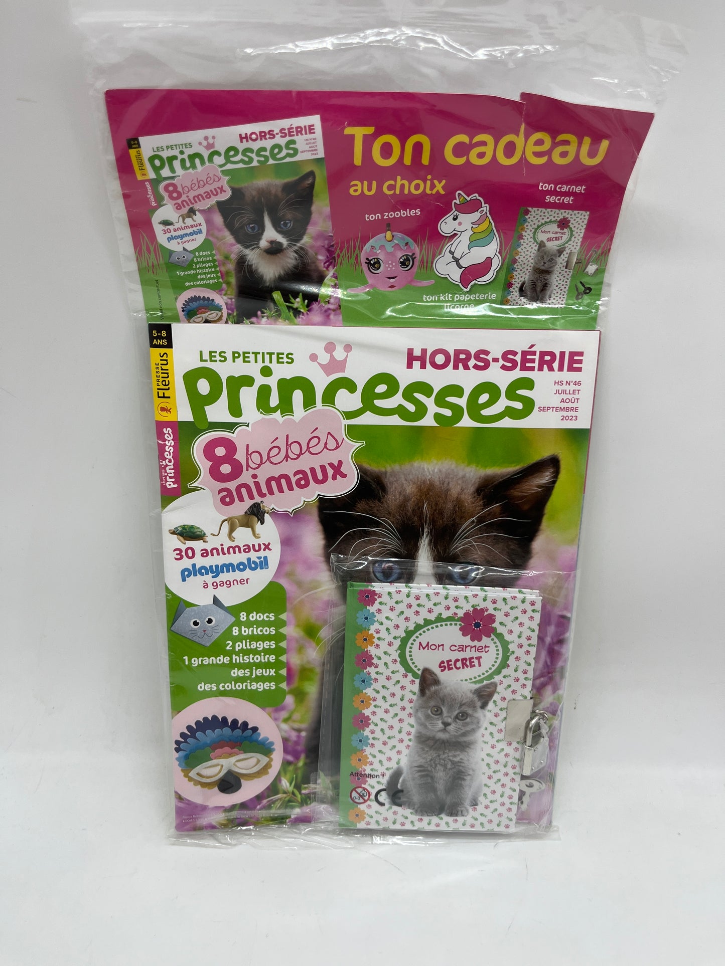 livre d’activité Magazine Les petites Princesses Edition Fleurus avec son carnet secret neuf !