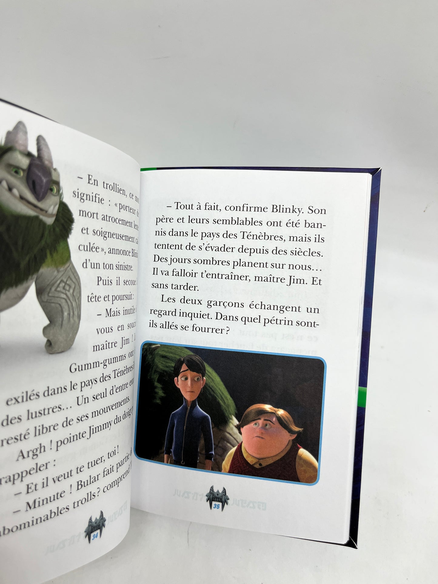 Livre histoire Ma bibliothèque verte Chasseur de Trolls l’entraînement de maitre Jim Neuf