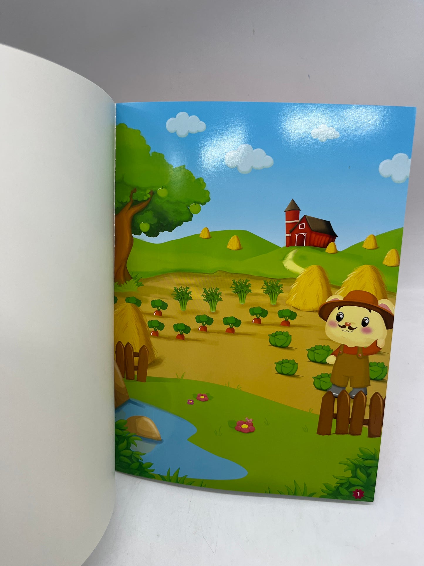 Livre d’activité magazine les Titounis à la ferme Avec gommettes et imagier Neuf