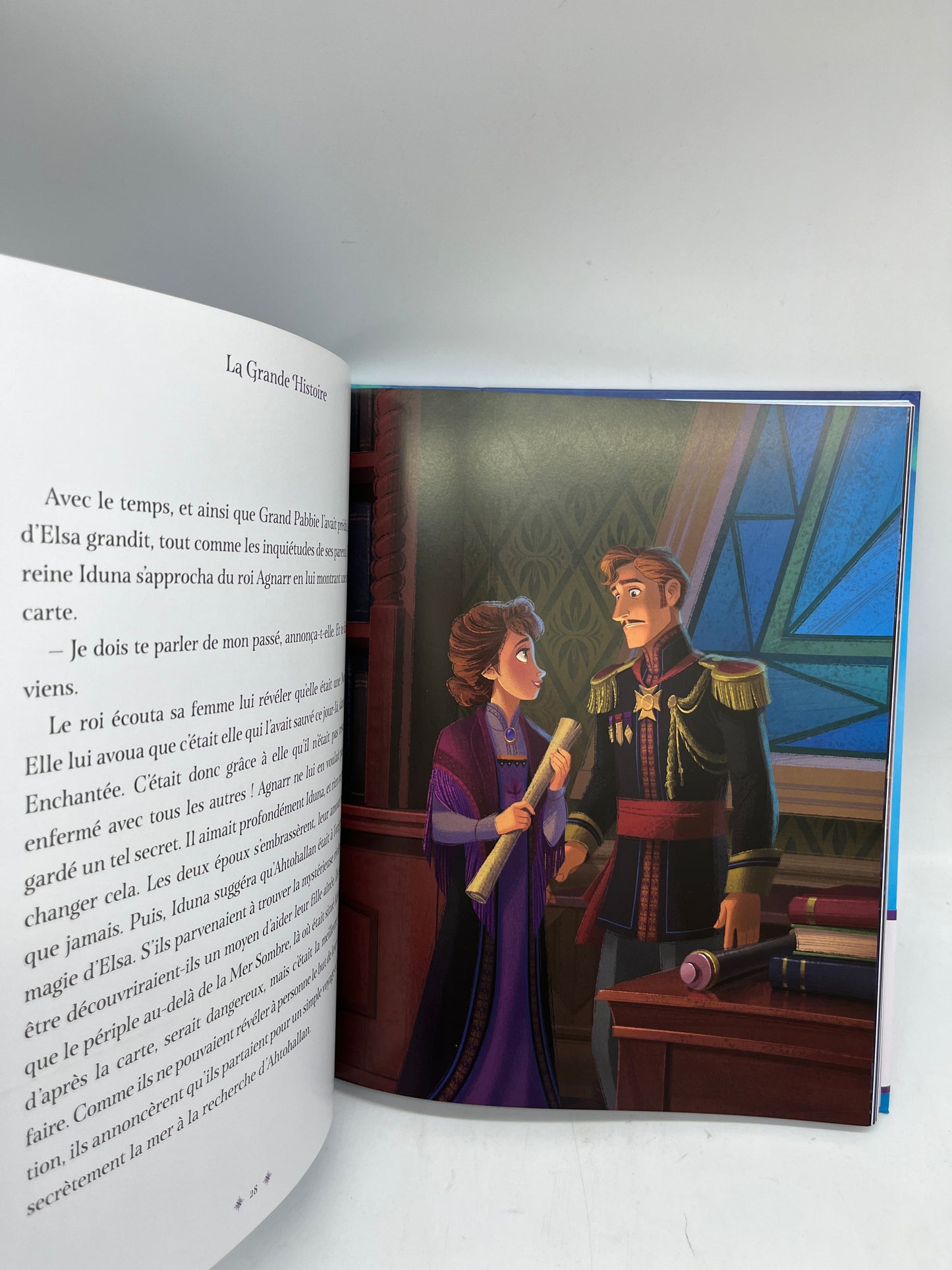 Livre Histoires grand Format Disney Princesse la Reines des neiges  La grande histoire Disney Neuf