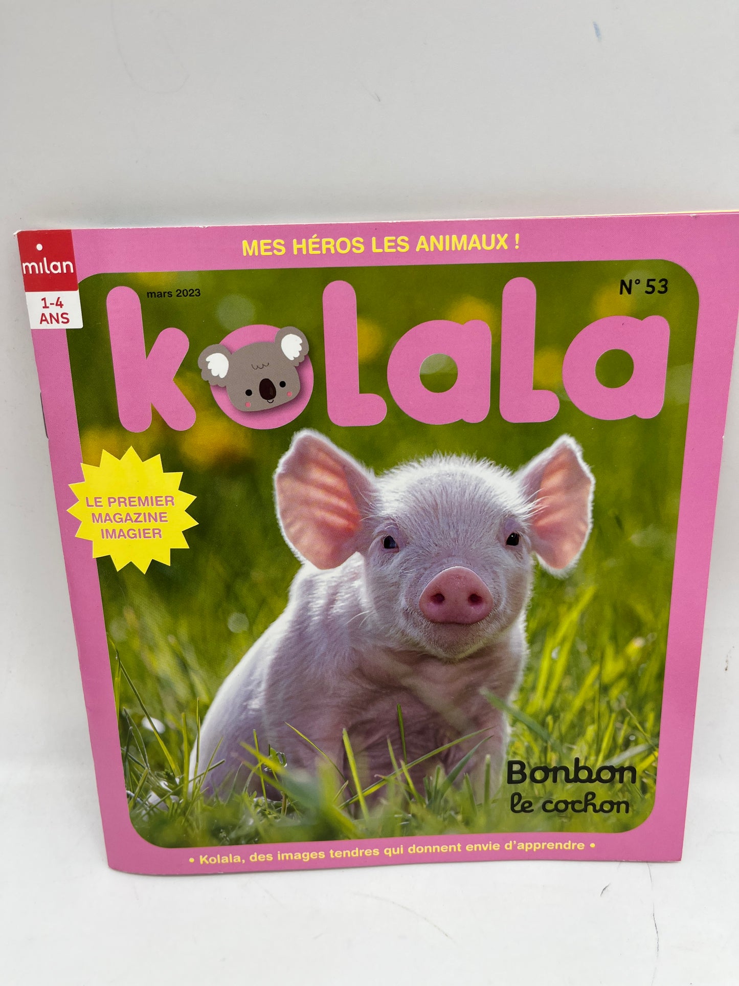 Magazine livre d’activité Kolala revue spécial animaux numéro 53 Bonbon le cochon imagier  jeux activité !