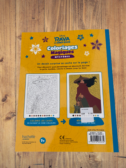 Livre de coloriages Mes coloriages Magique Mystère Disney  Raya le dernier dragon Neuf