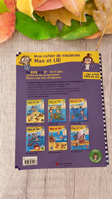 Cahier de vacances Max et Lili 10 -11 ans CM2  6 eme Neuf Apprends en t'amusant !