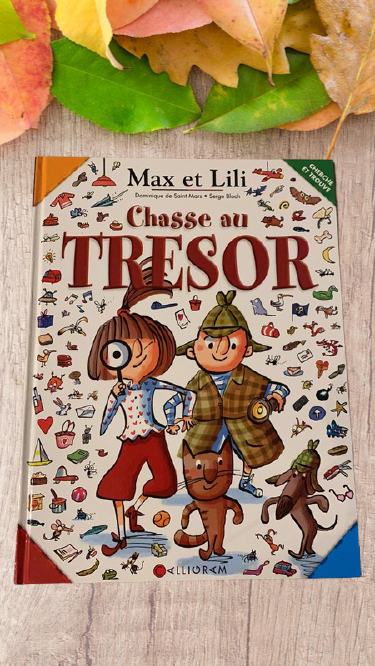 Livre Chasse aux trésor Cherche et trouve Max et lili Neuf