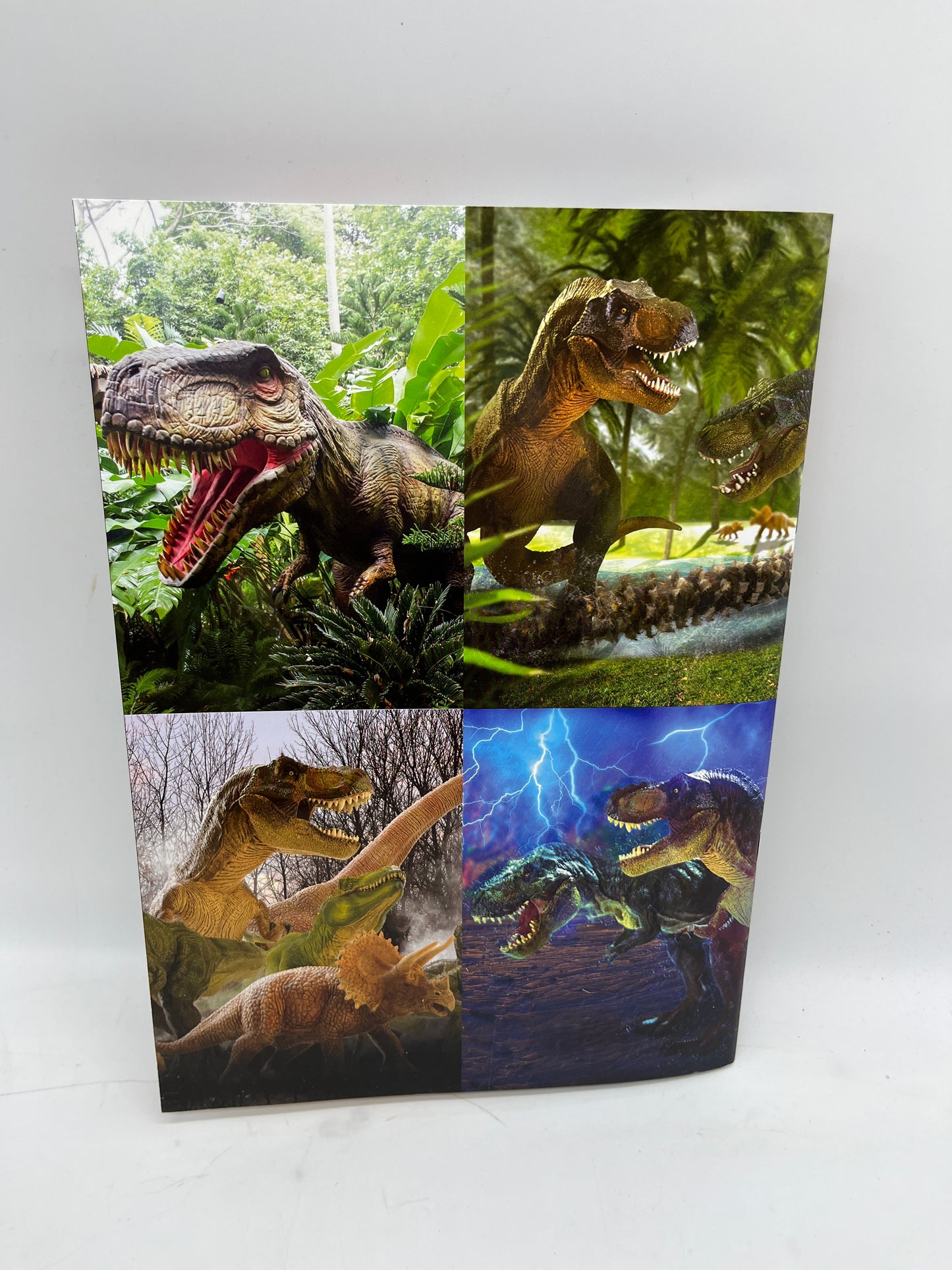 Livre d’activité Magazine Planète Dino Special Dinosaures avec poster  Neuf