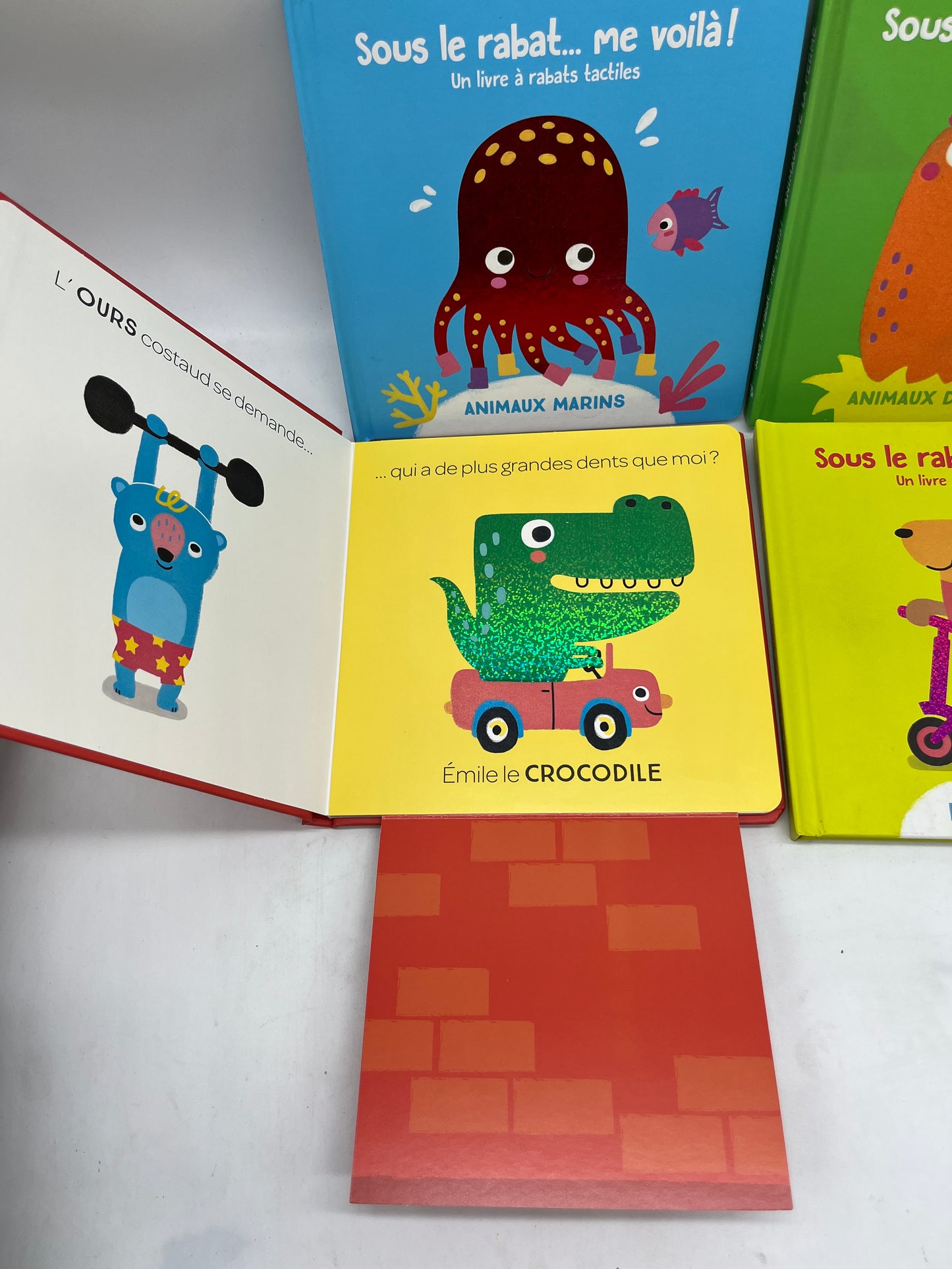 Lot de 4 Livres Sous le Rabat me revoilà ! Thème animaux Neuf