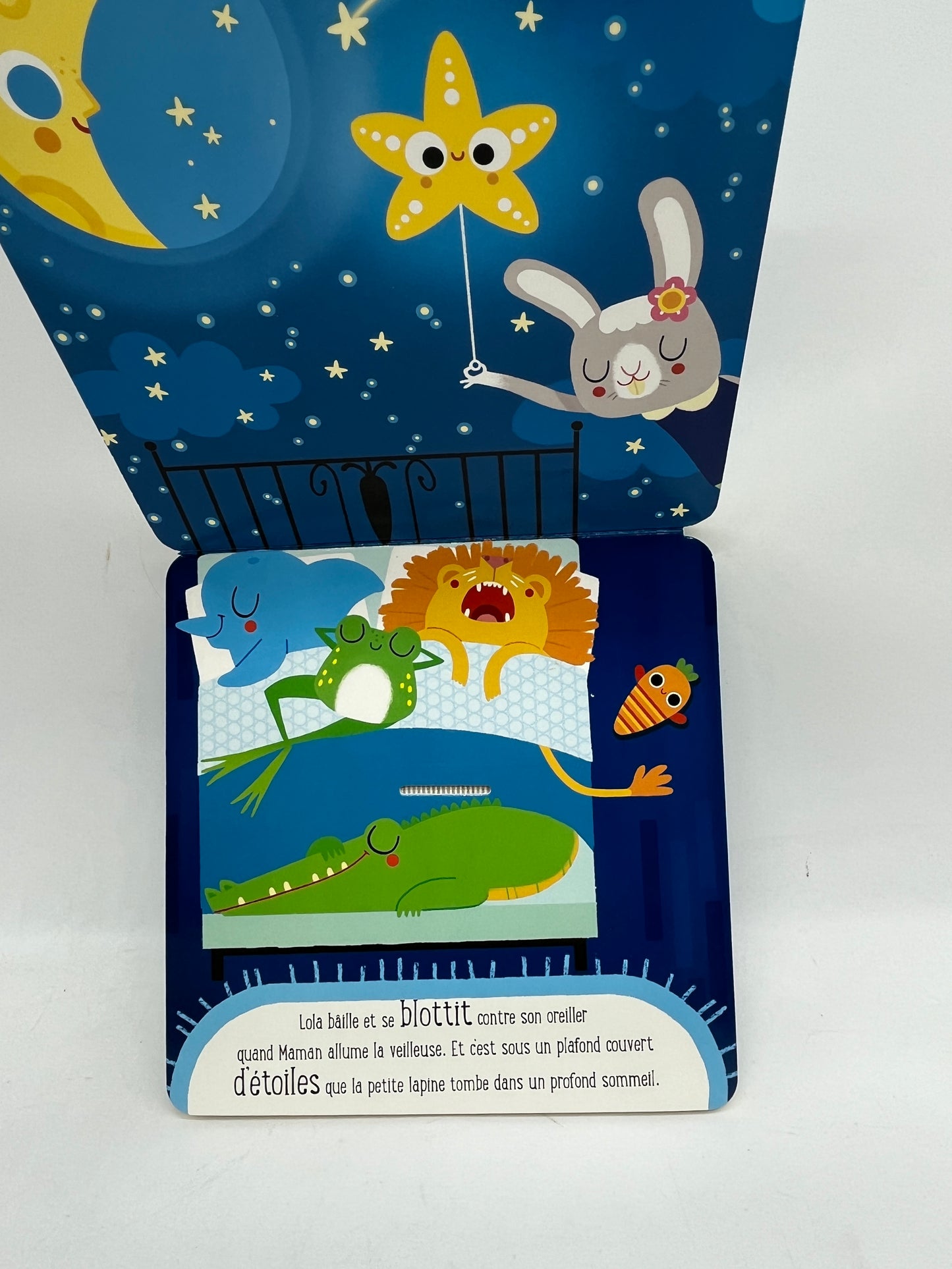livre sonore Mon petit lapin sonore Ludique avec figurine Neuf