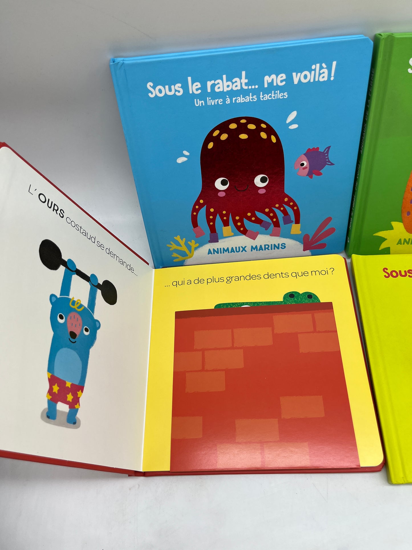 Lot de 4 Livres Sous le Rabat me revoilà ! Thème animaux Neuf