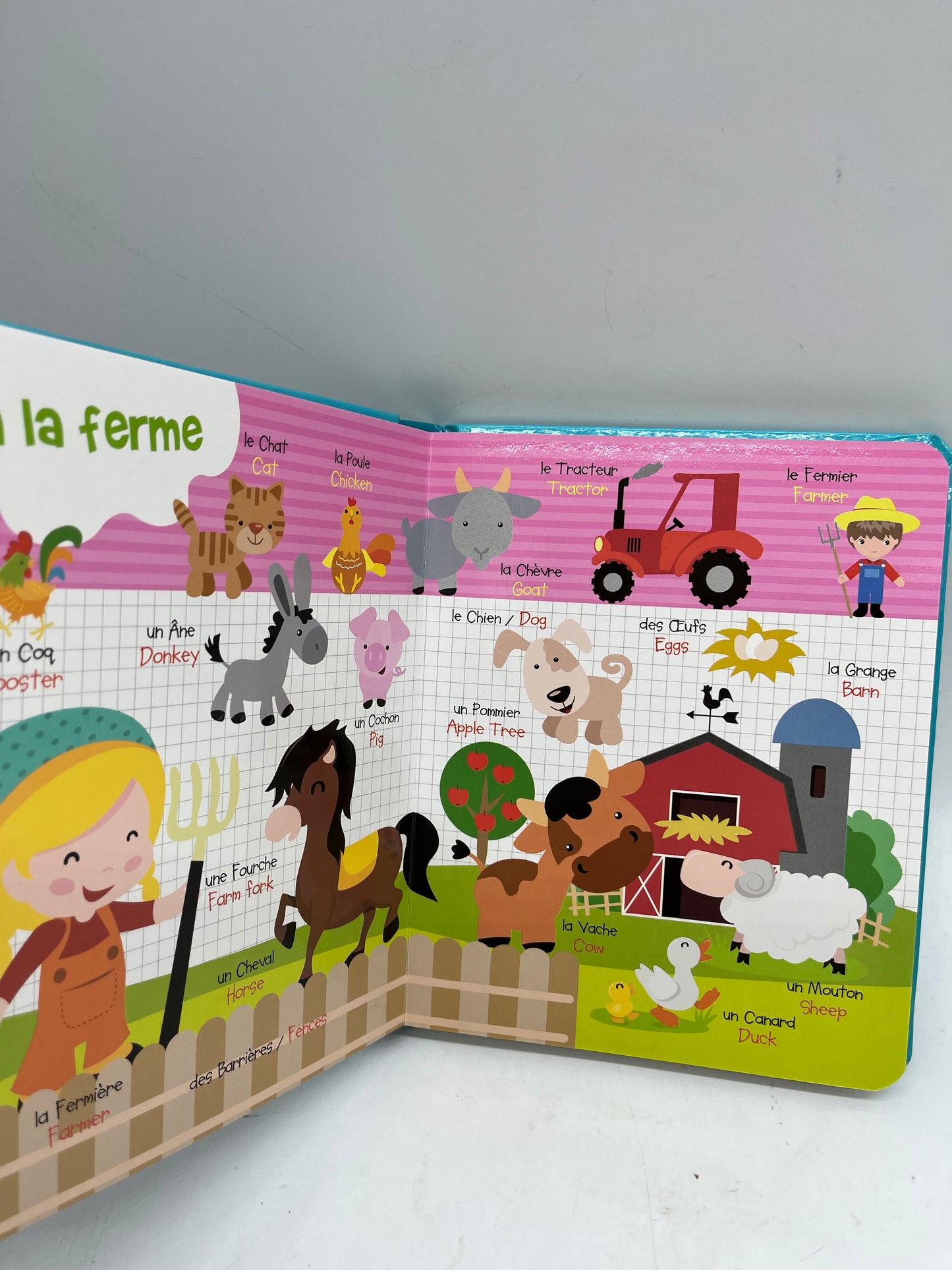 livre mon premier dictionnaire illustré Bilingue Français/anglais mes premiers mots pour apprendre l’anglais Neuf