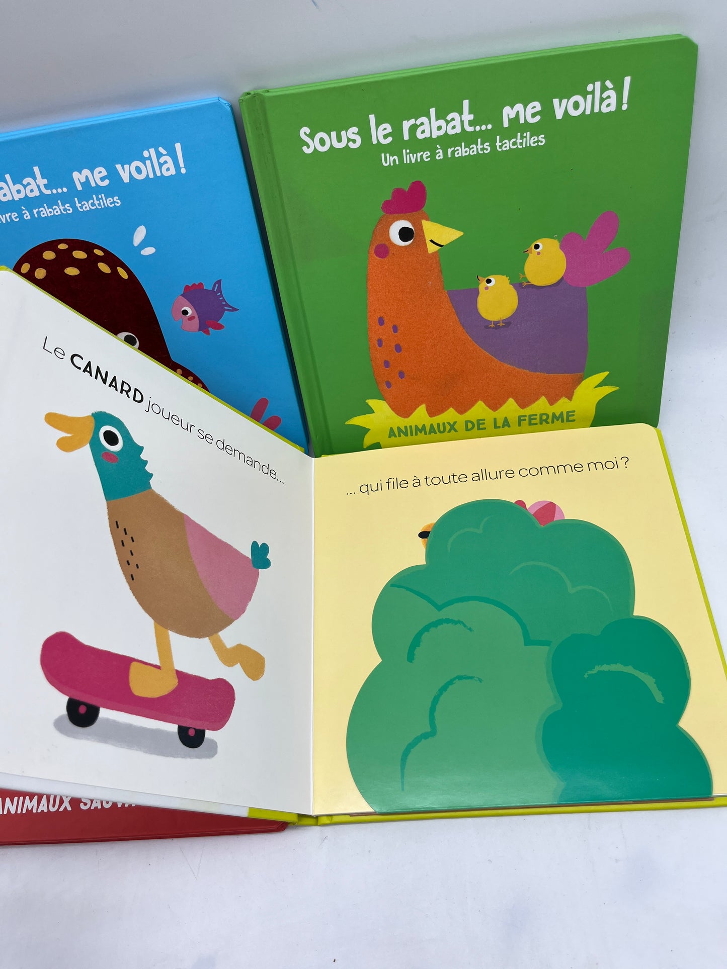 Lot de 4 Livres Sous le Rabat me revoilà ! Thème animaux Neuf