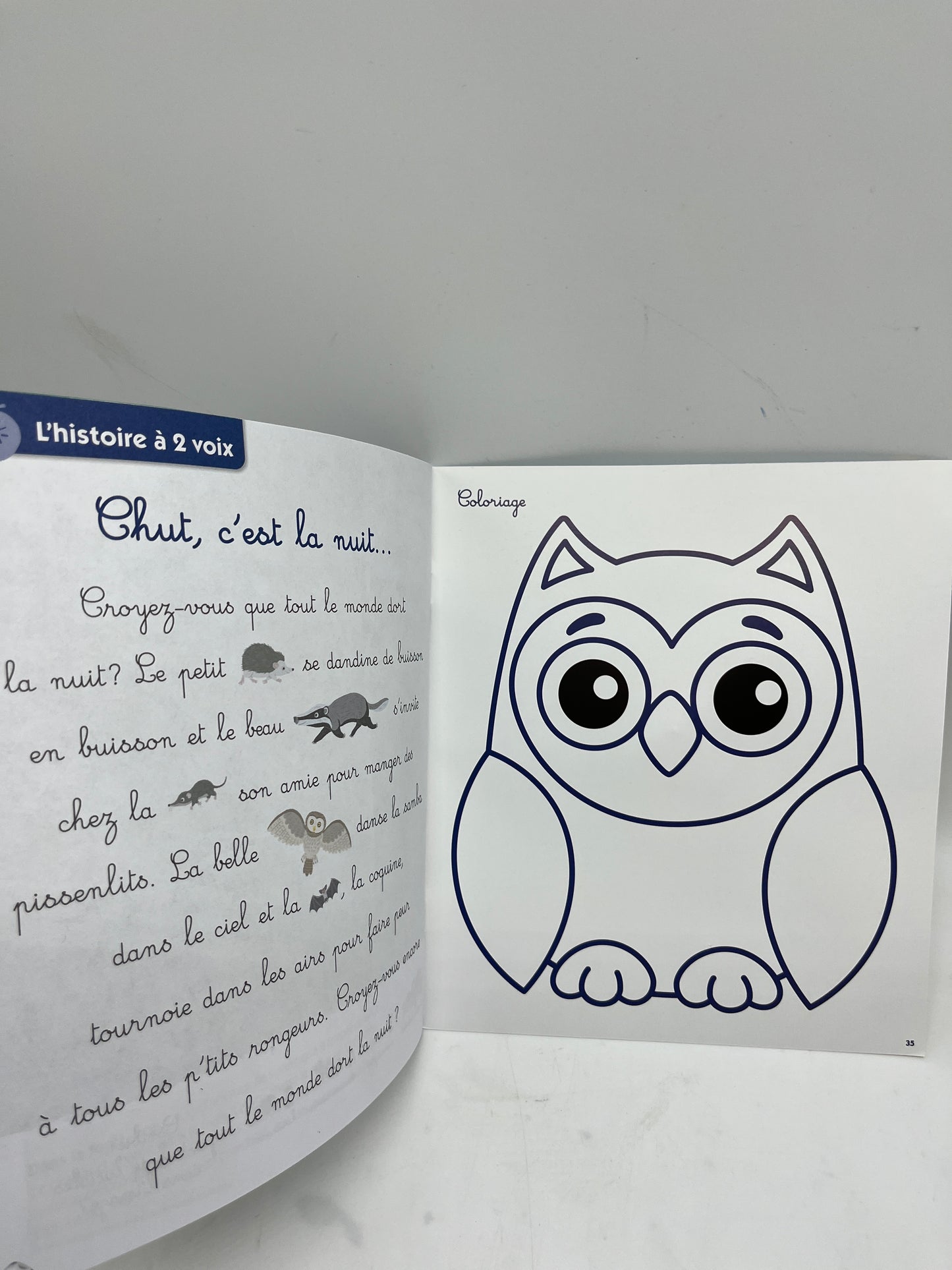 Livre d’activité Abricot Spécial Cherche et trouve modèle Hors serie  thème à la mer Neuf