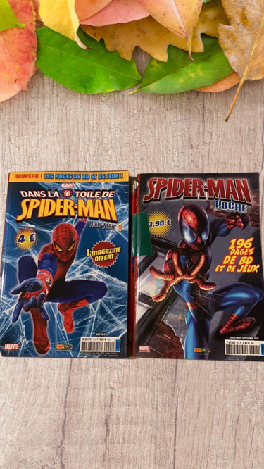 Lot de 2 BD Bande dessiné Spiderman