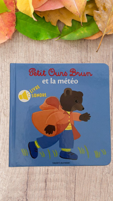Livre Sonore Petit Ours Brun "La météo" neuf !